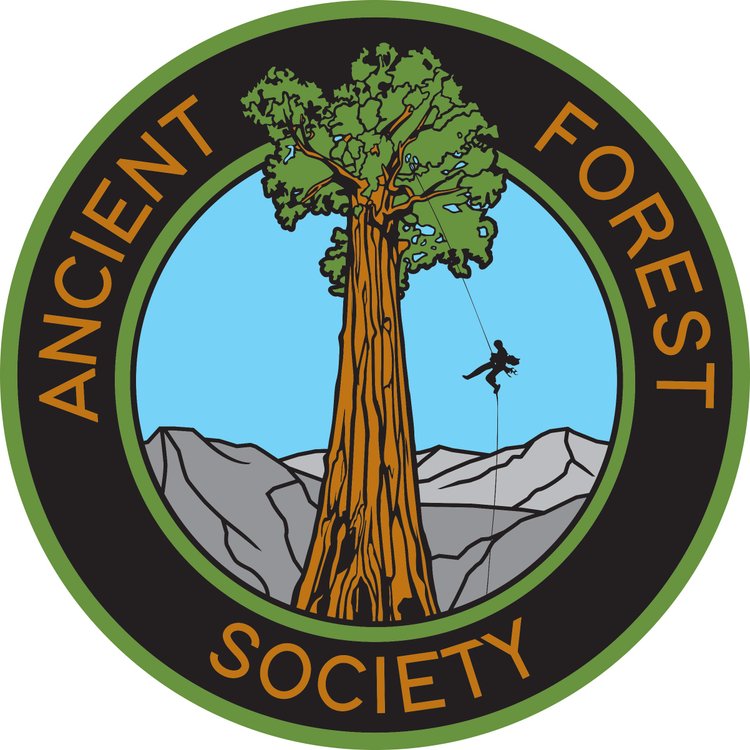 Ancient Forest Society