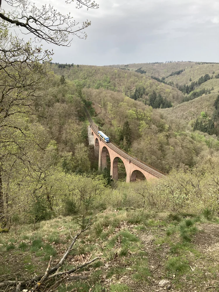 Deutsches Bernsteinmuseum