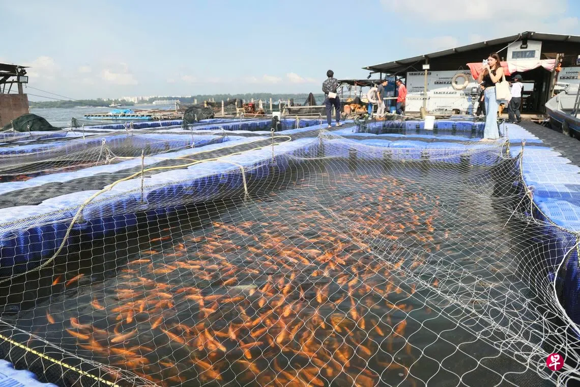 Ento Industries fish farm