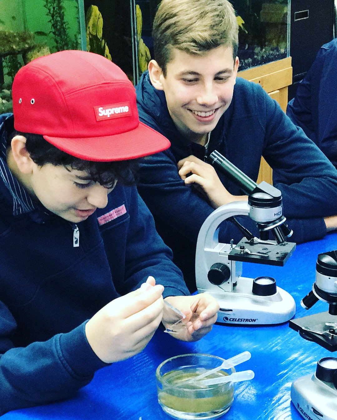 Marine Science at The WaterFront Center