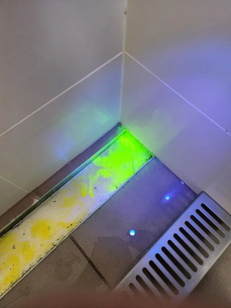 Fluorescent tracer dye glowing under UV light at a shower floor waste