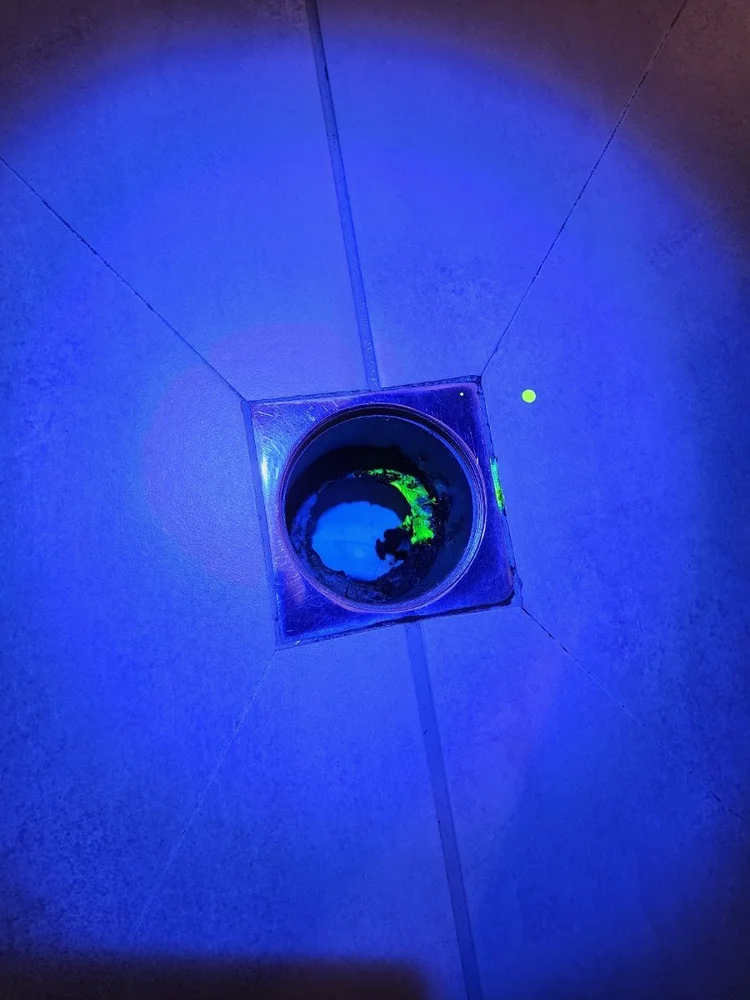 UV light showing tracer dye in a shower floor waste