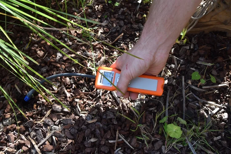 Hand-held acoustic leak detector reading on a garden bed over an underground water pipe