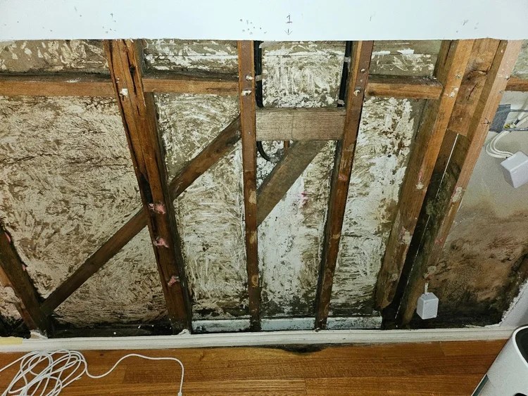 Wall framing exposed after water-damaged plaster was removed, showing mould