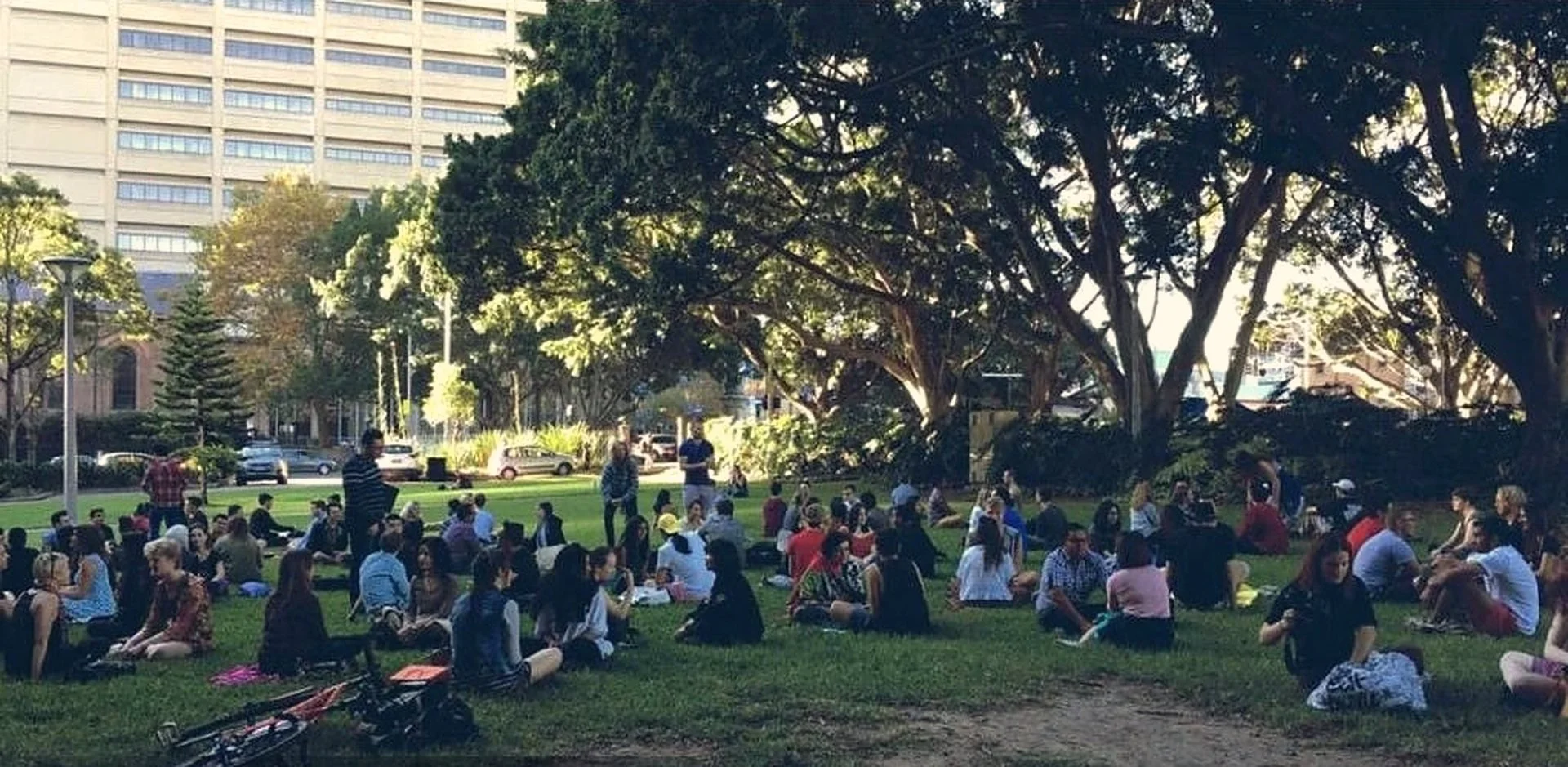 Strangers gathered under the trees at the second Hyde Park event