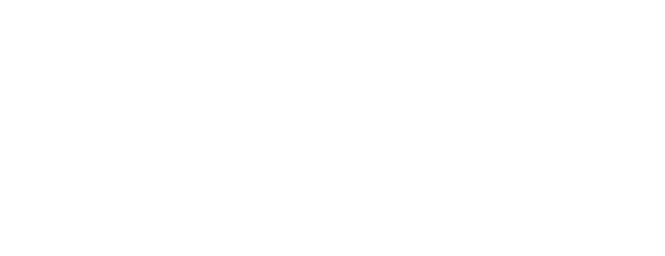 Holzius Vollholzhaus
