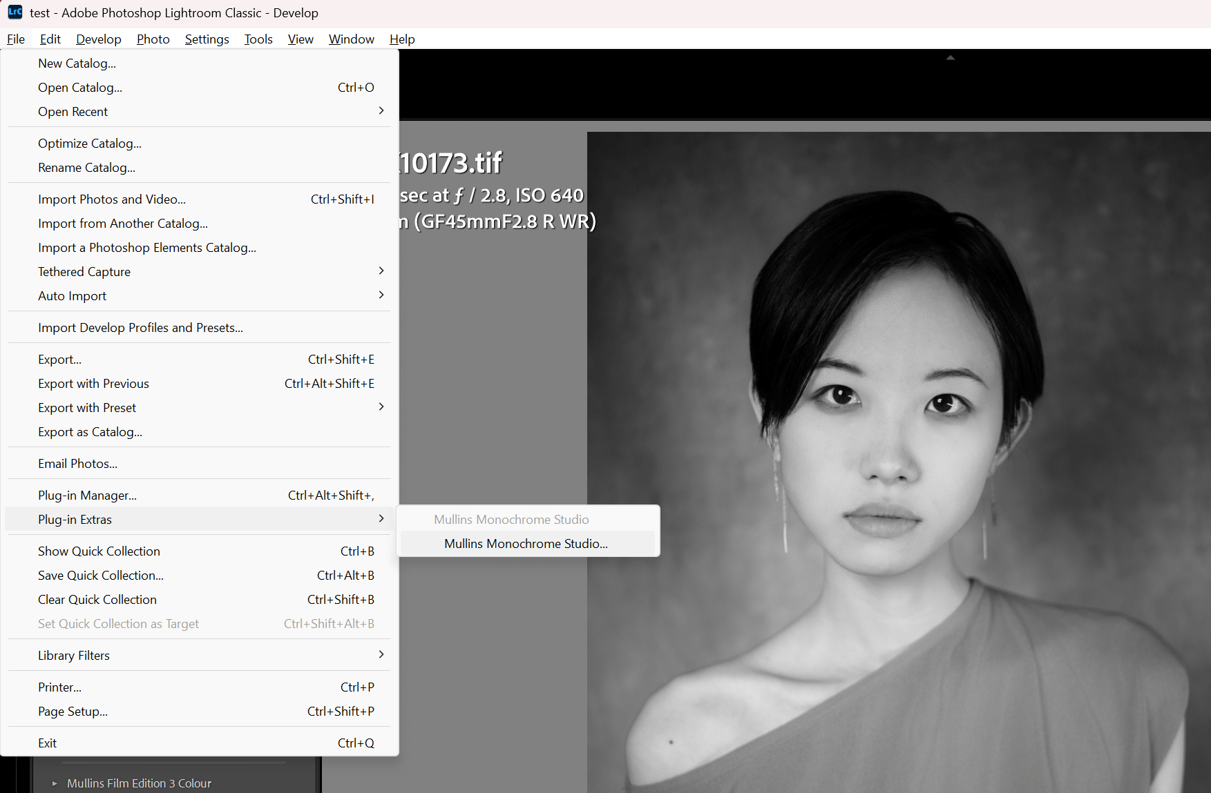 Plug-in Extras menu showing Mullins Monochrome Studio