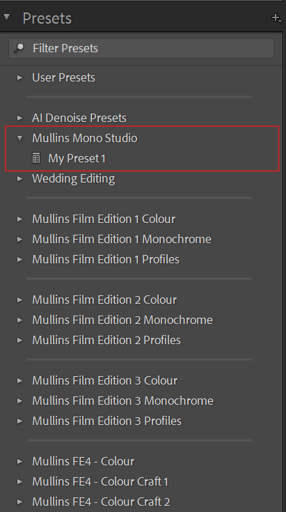  Lightroom Classic Presets panel with Mullins Mono Studio Group