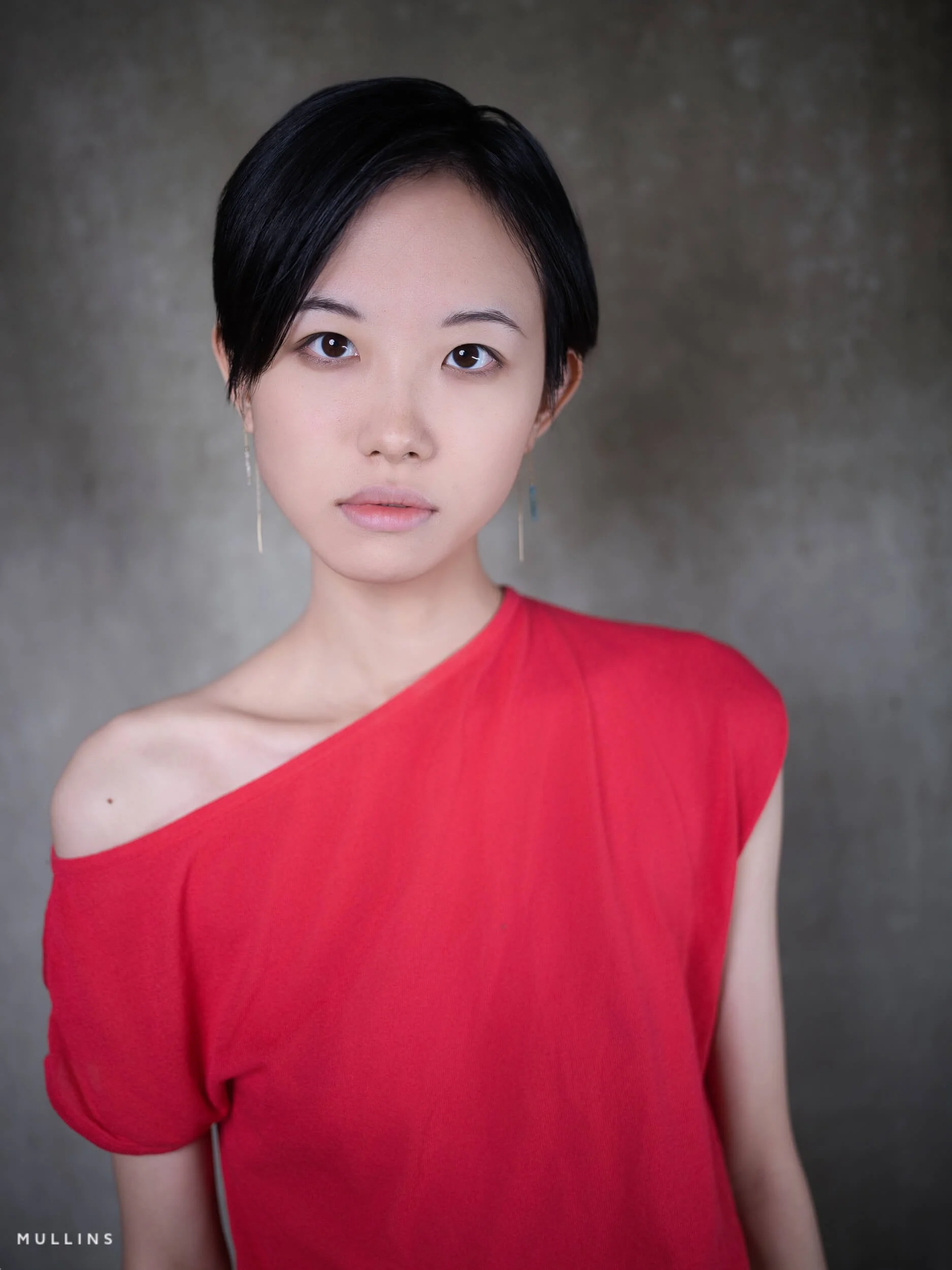 Mullins Monochrome Lightroom Plugin Before Example 1