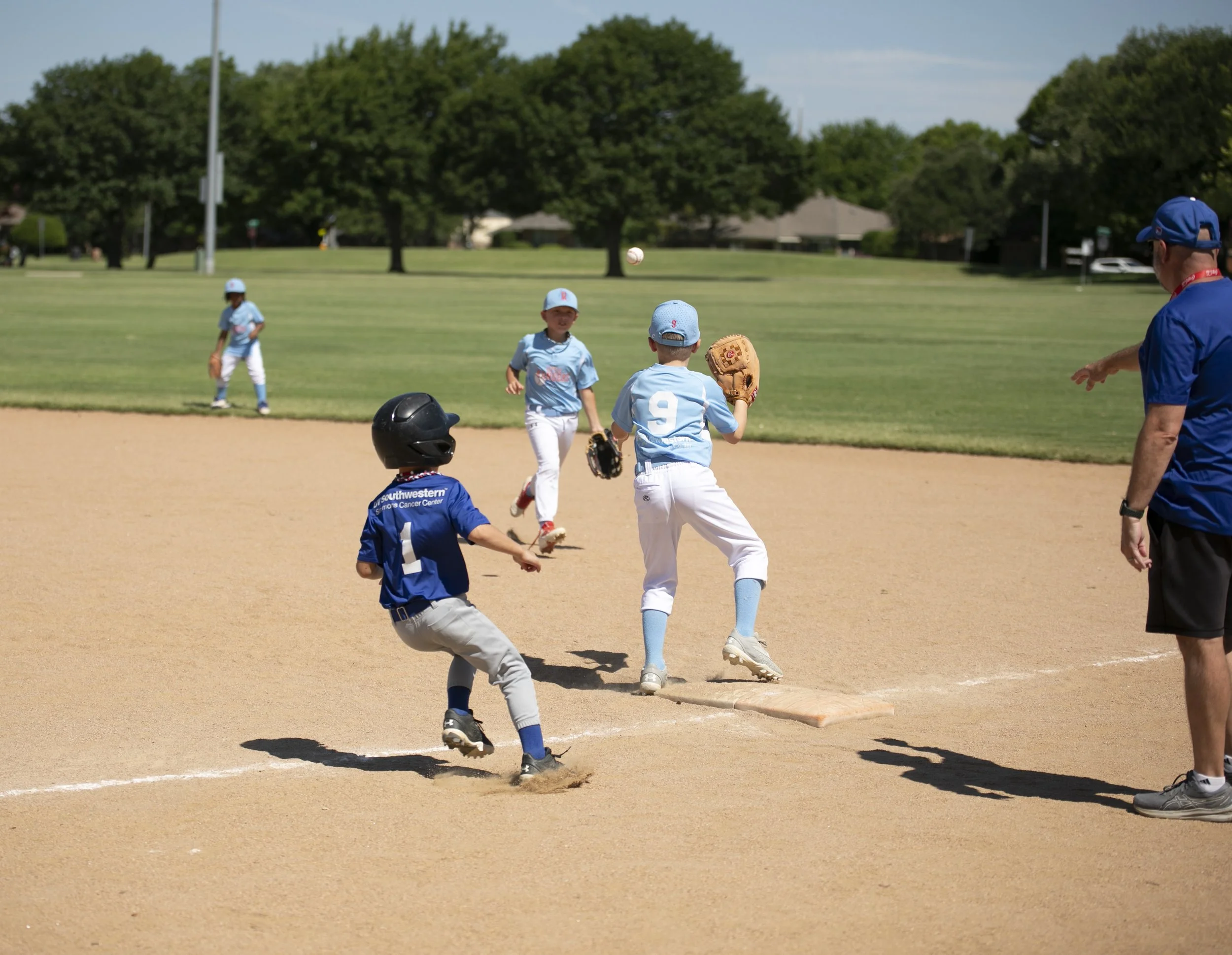 Baseball portrait