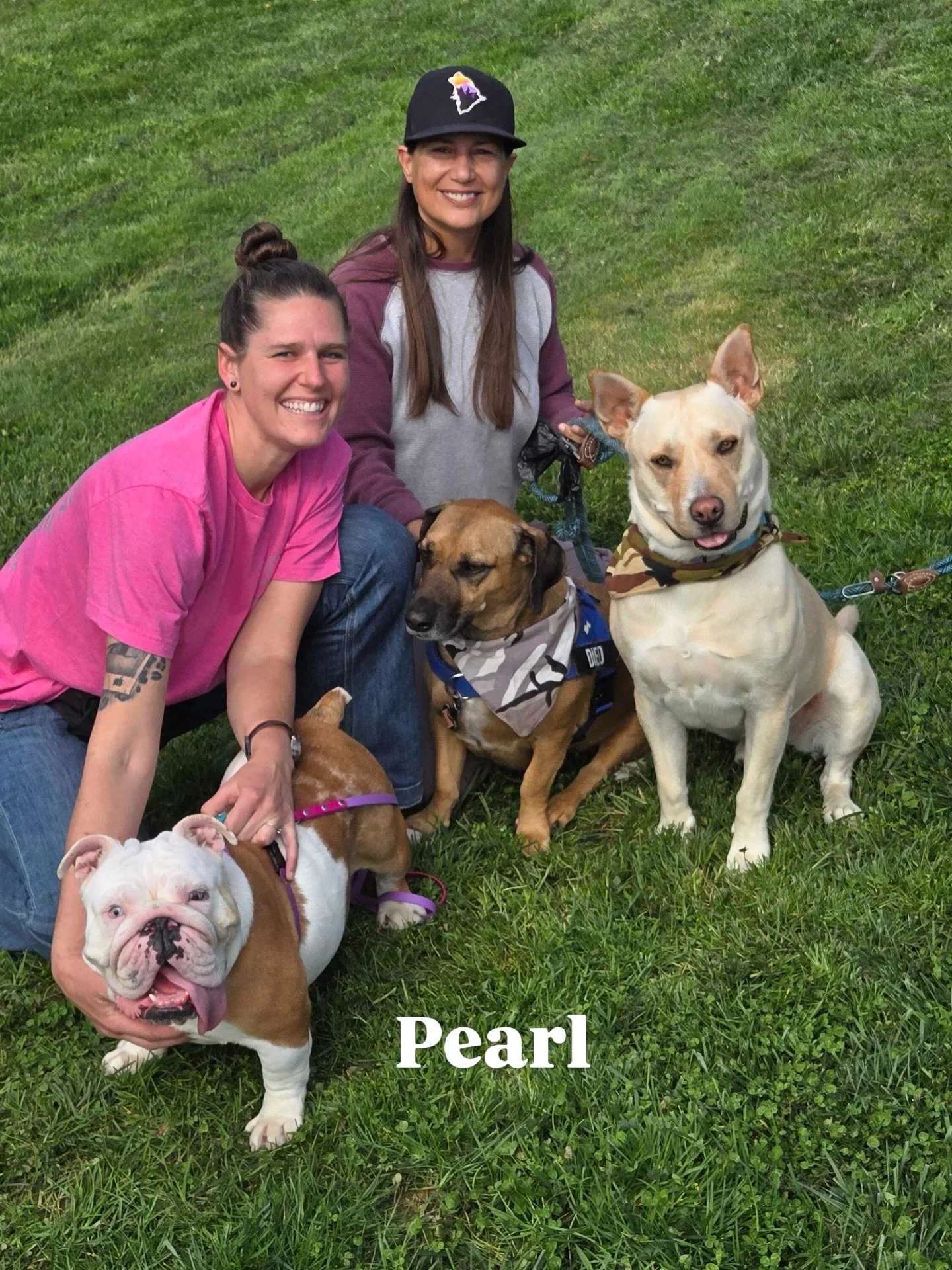 Pearl with new family