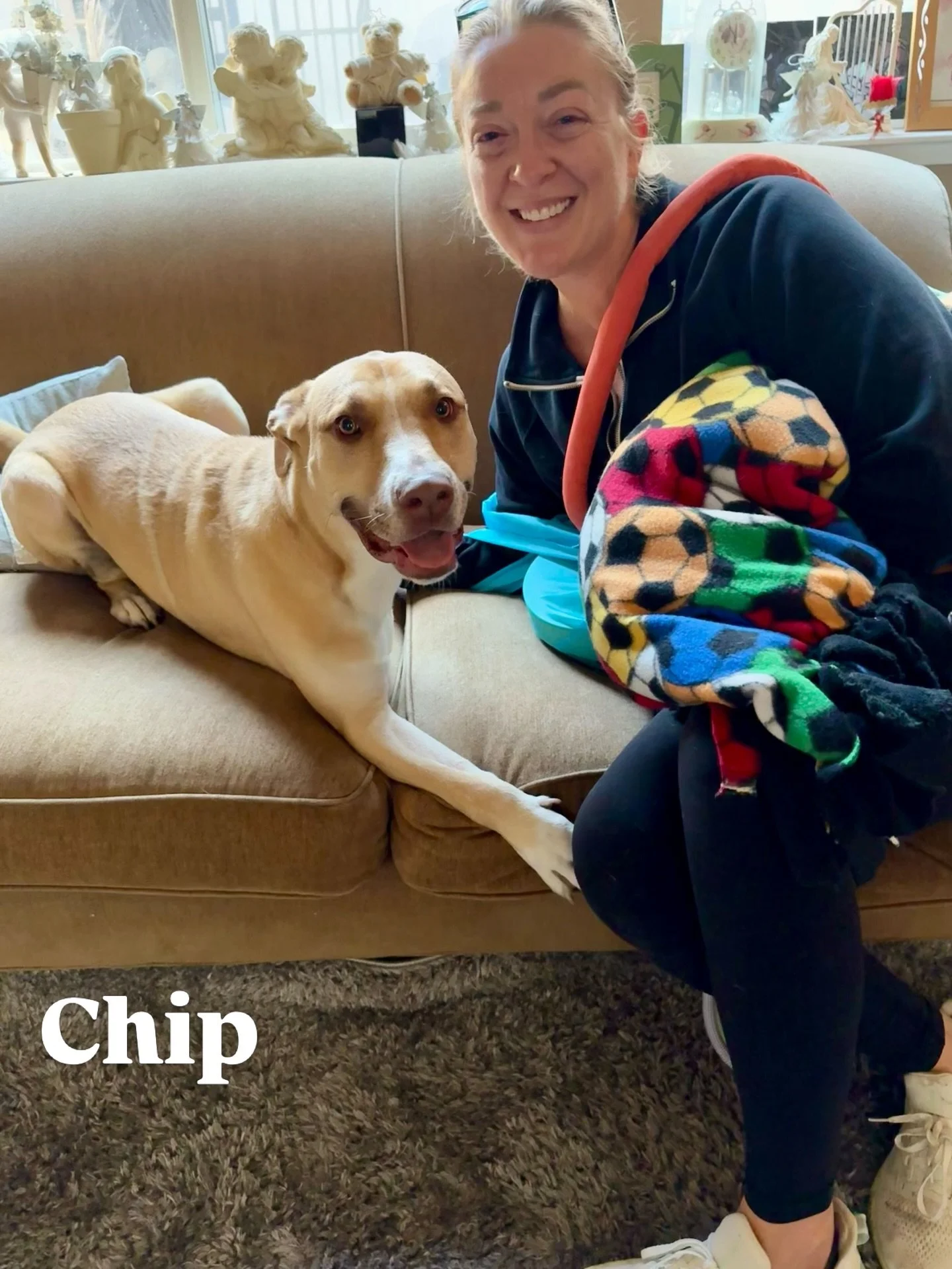 Chip with new family