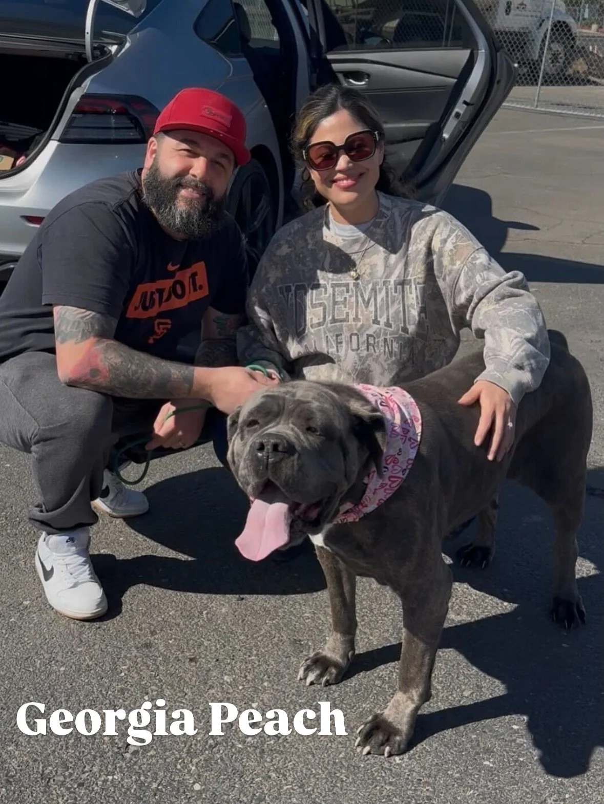 Georgia Peach with new family