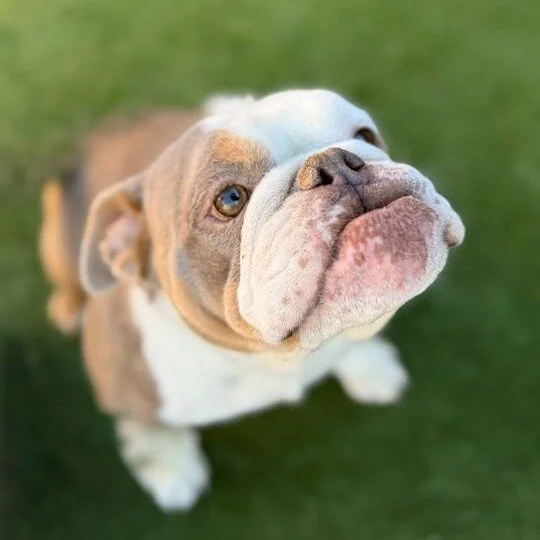 Edith before adoption