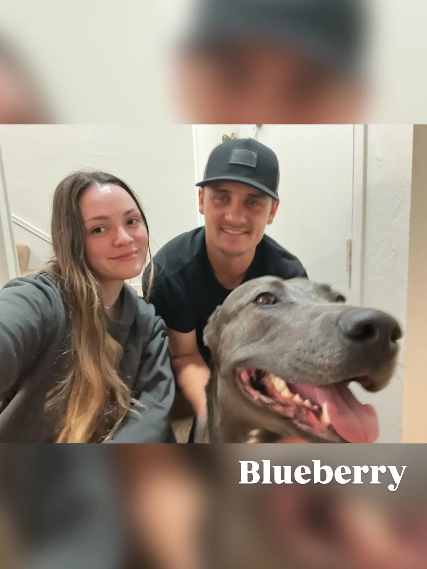 Blueberry with new family