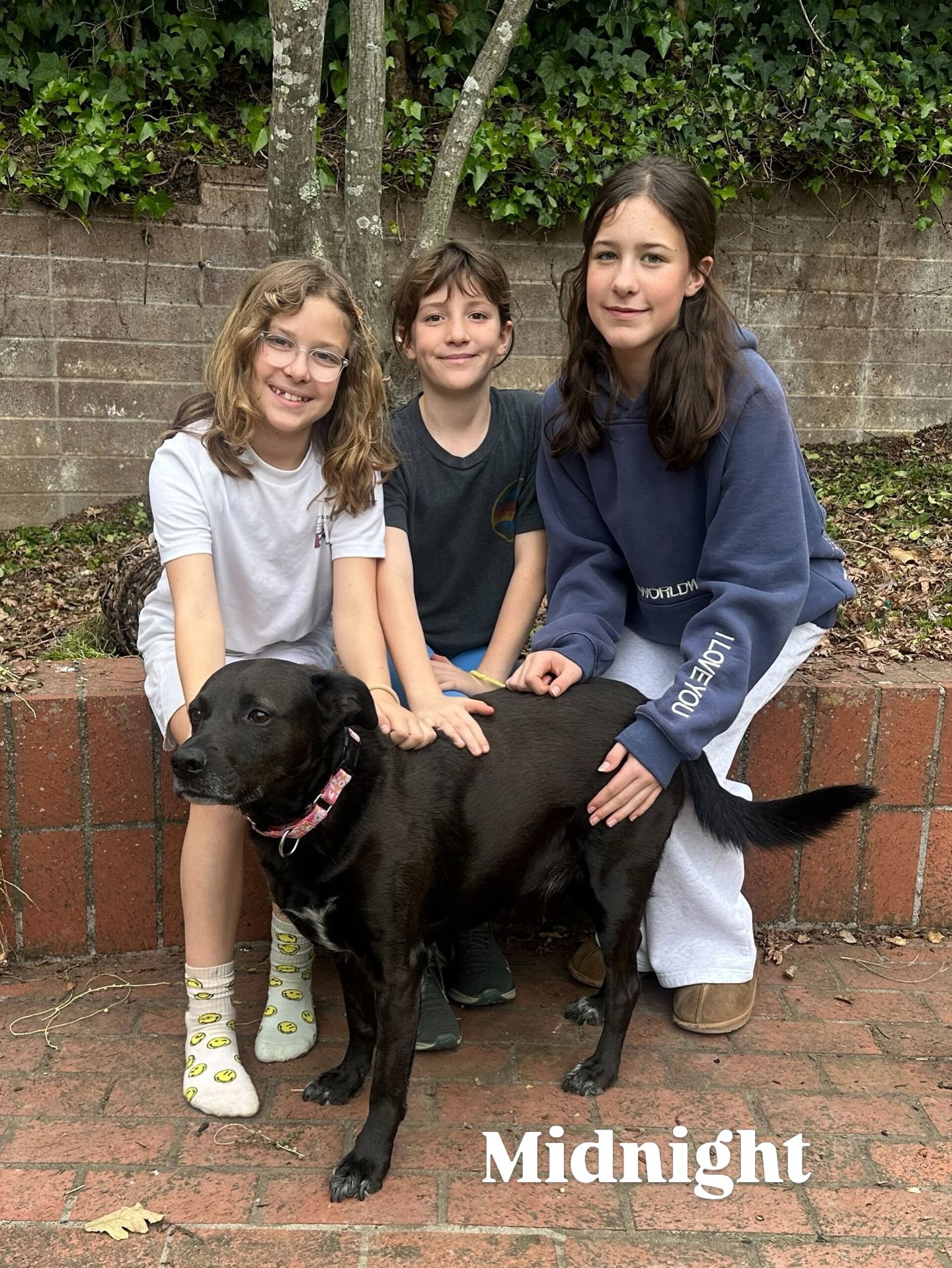 Midnight with new family