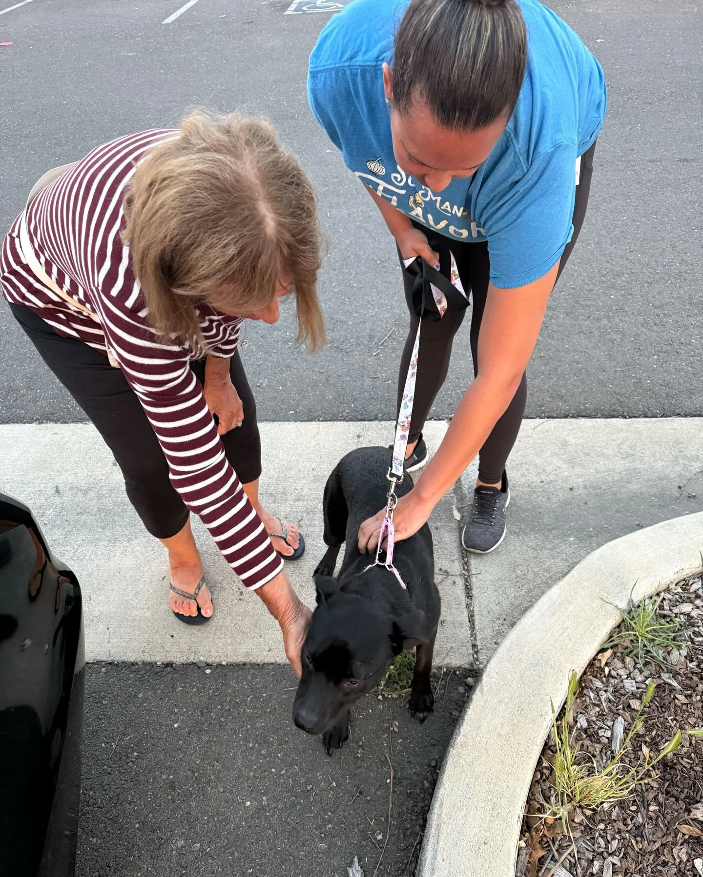 Molly with new family