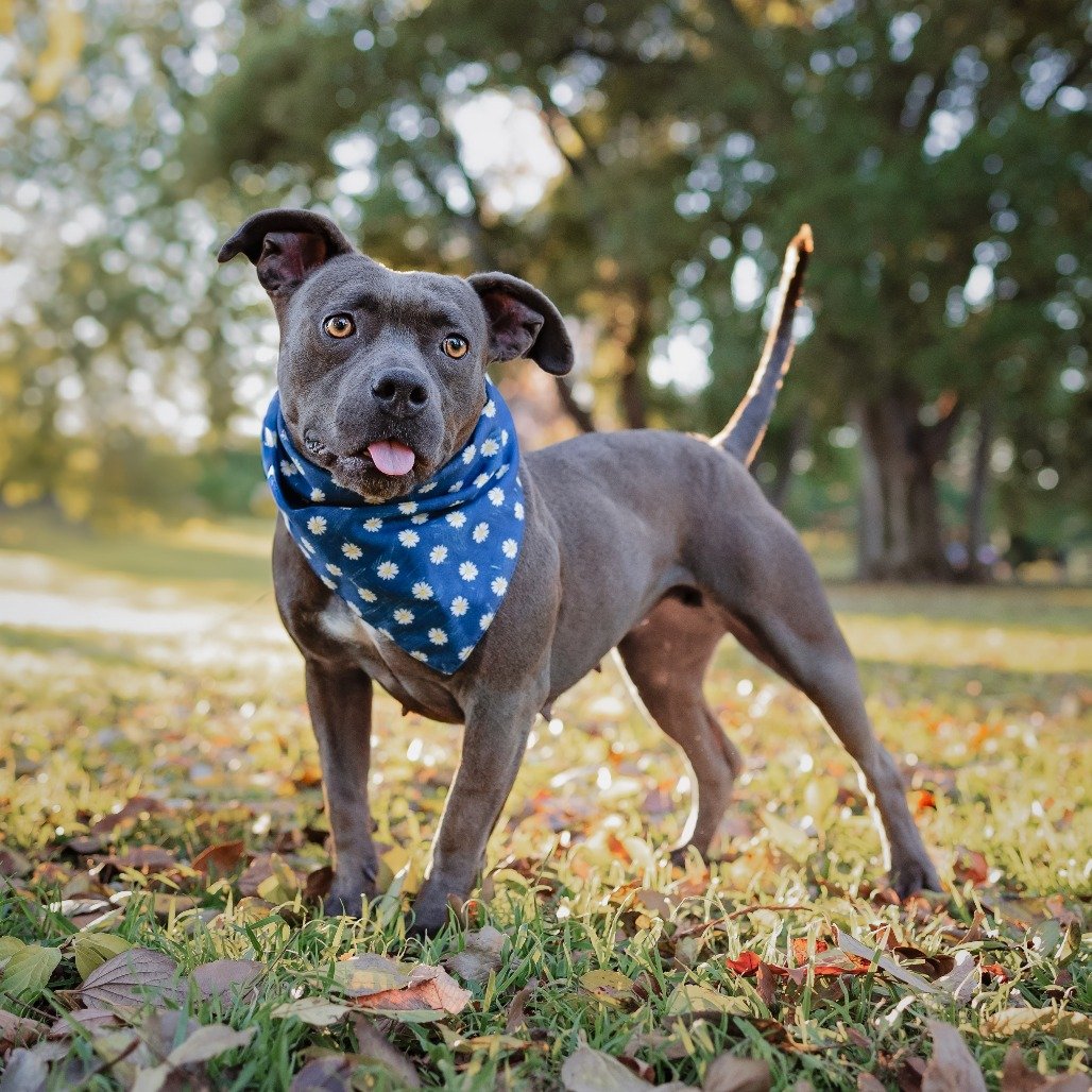 Yara before adoption