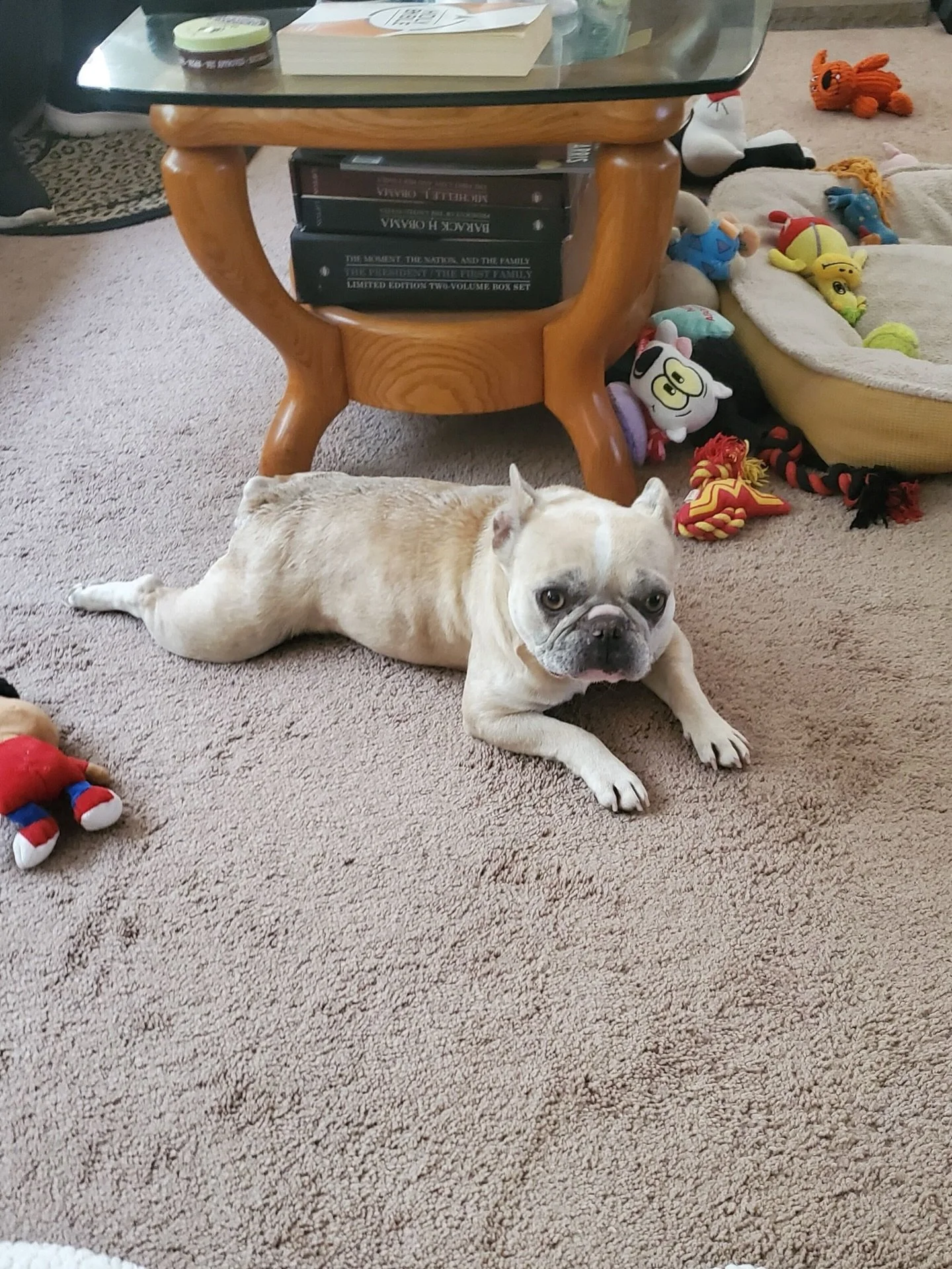 Opal with new family