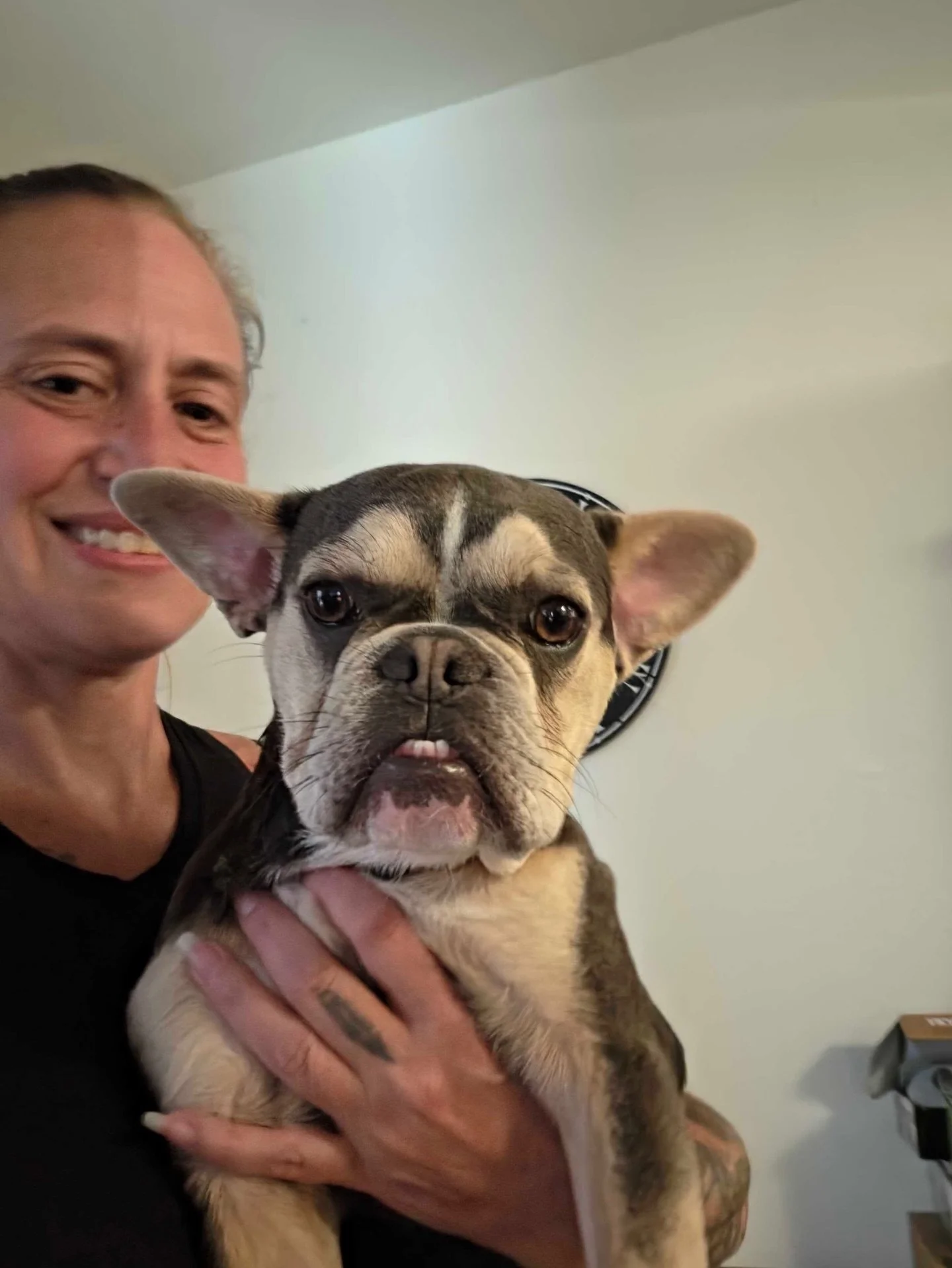 Gizmo with new family