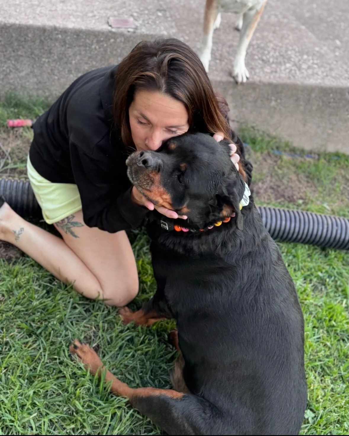 Mango with new family