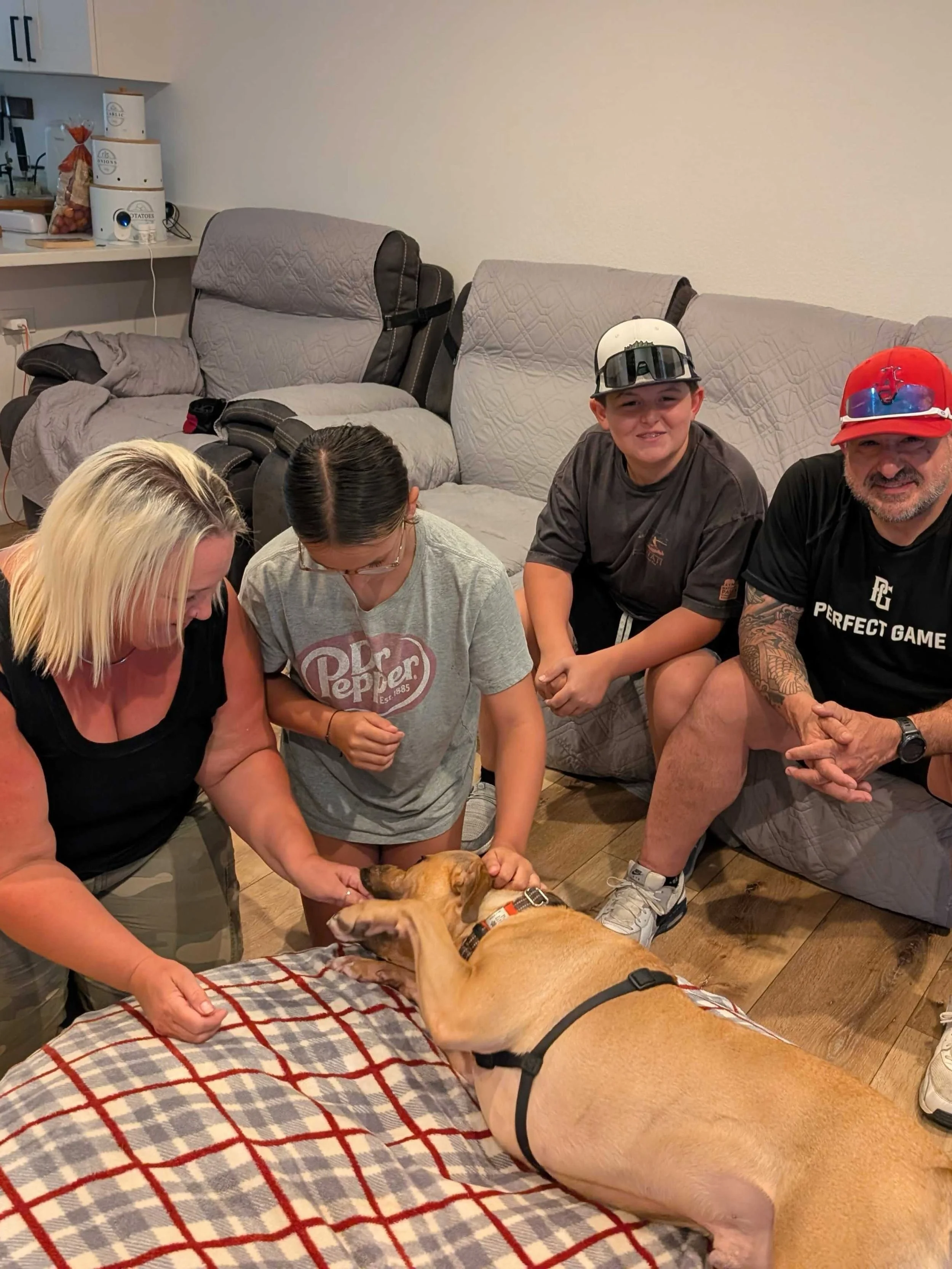 Arrow with new family