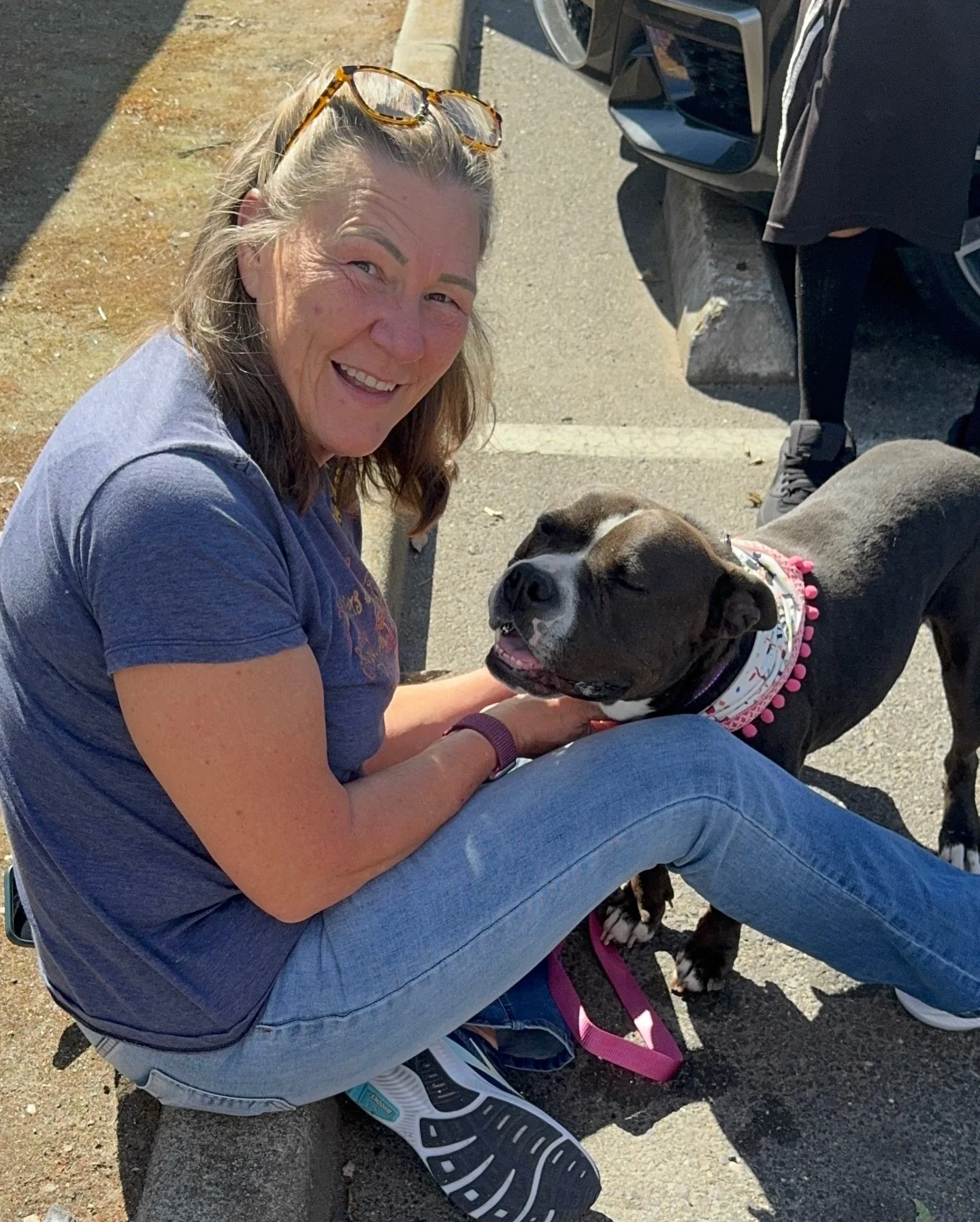 Lucy with new family