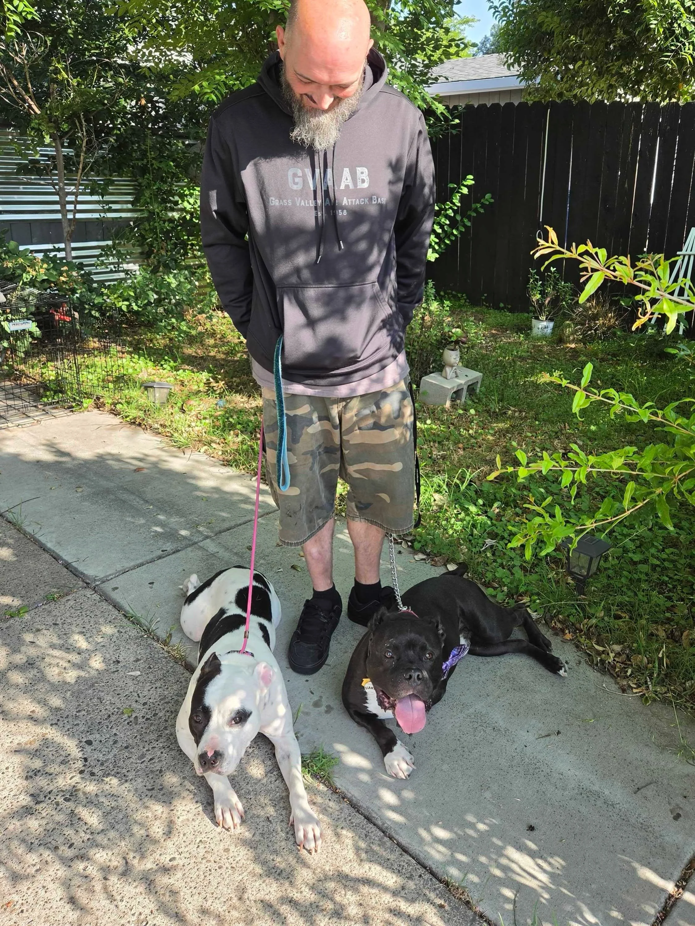 Zinnia with new family