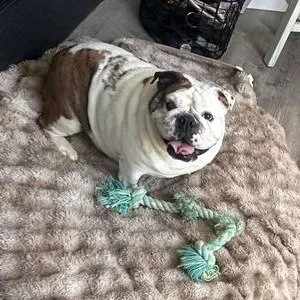 Frida before adoption