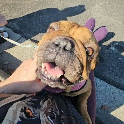 Megan before adoption