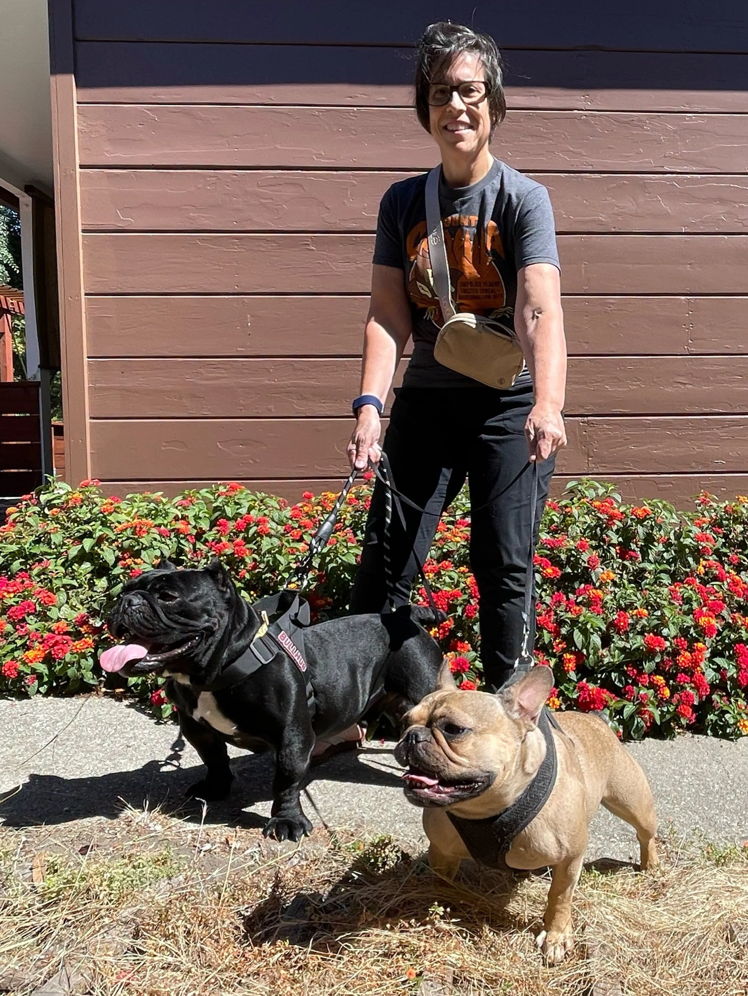 Rocket with new family