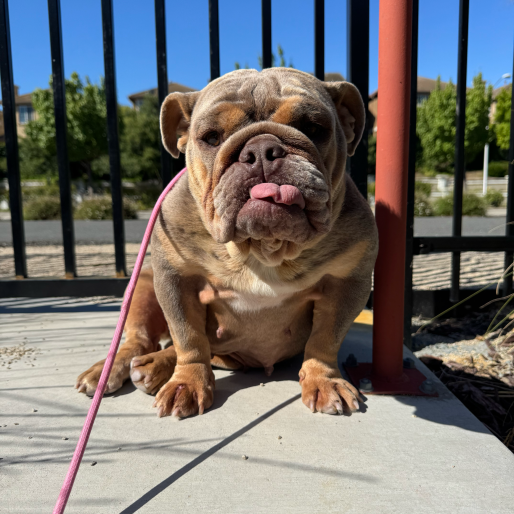 Lula before adoption