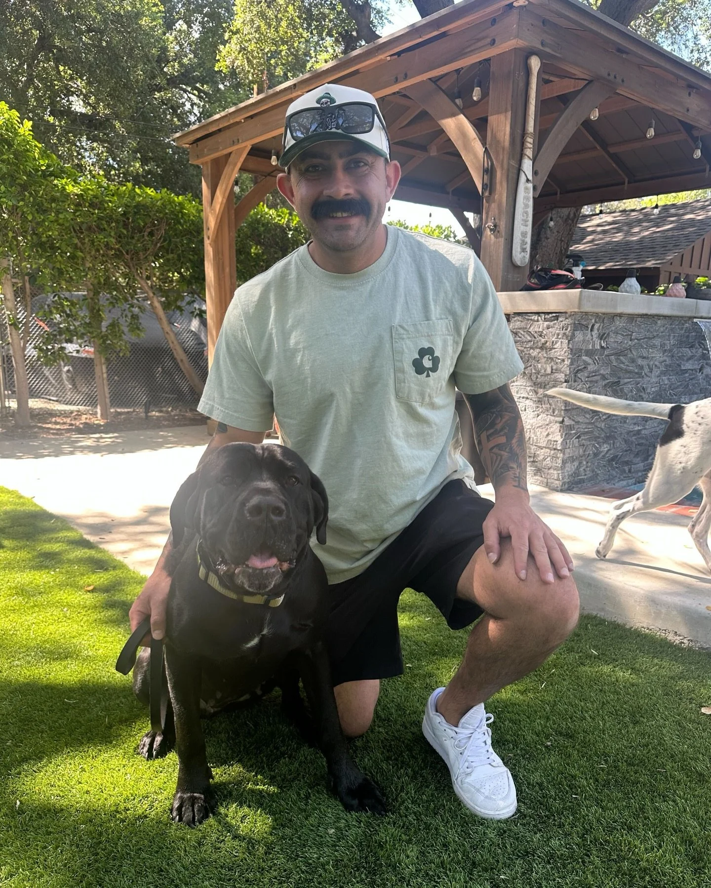 Twinkle Toes with new family