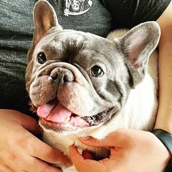 Stitch before adoption