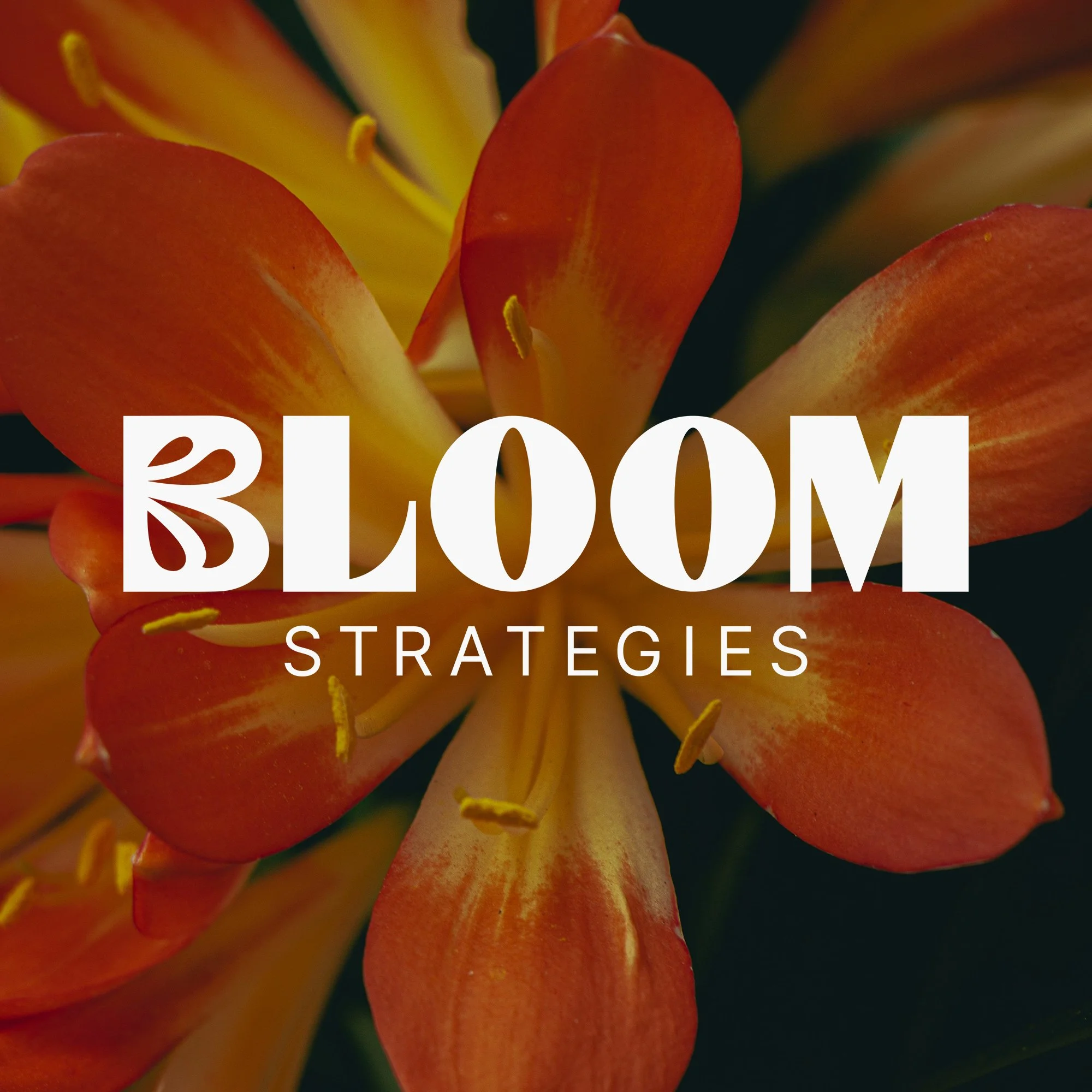 Bloom Strategies branding and website design project