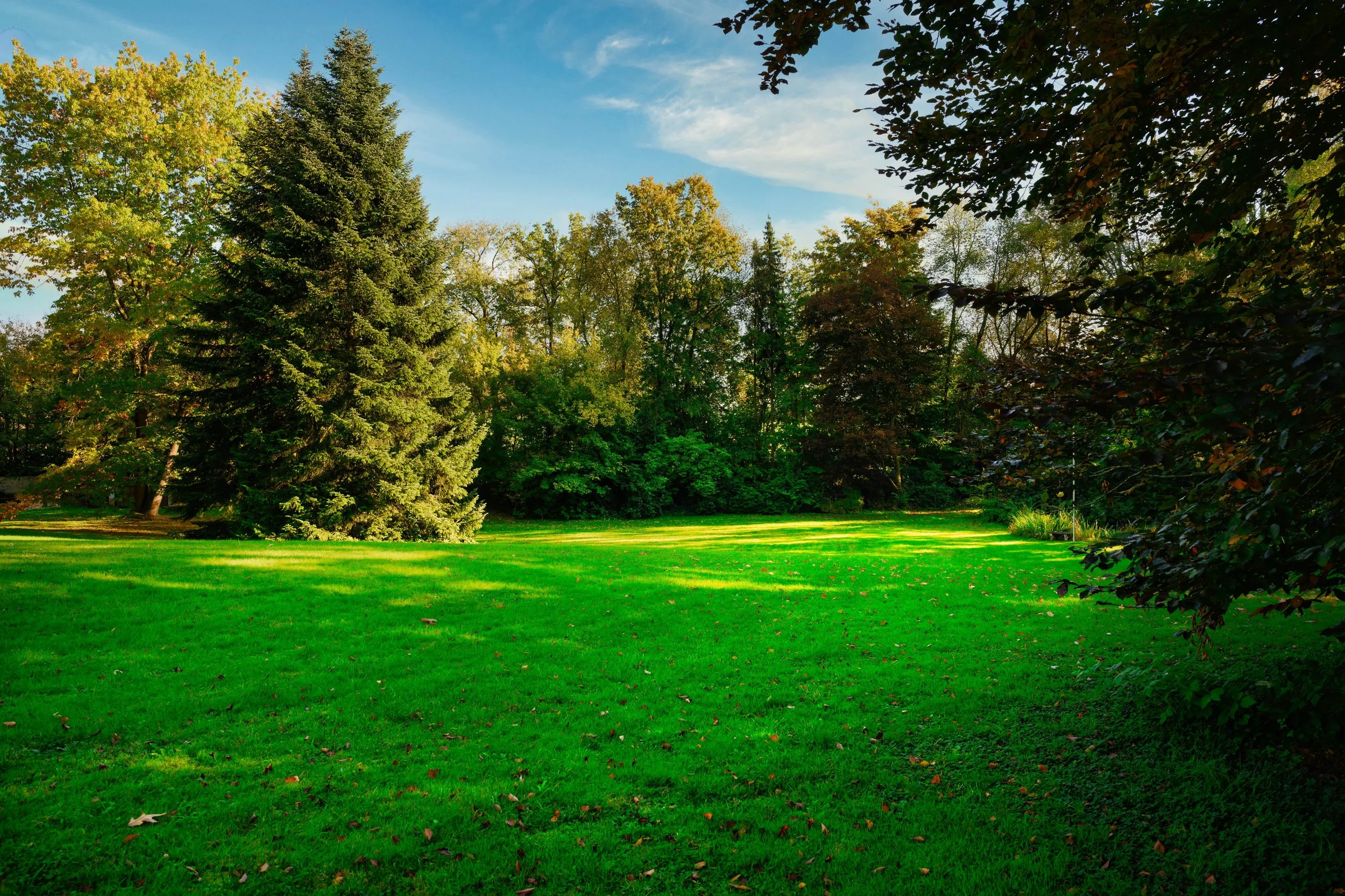 Grundstück bei Augsburg – Blick über das Areal