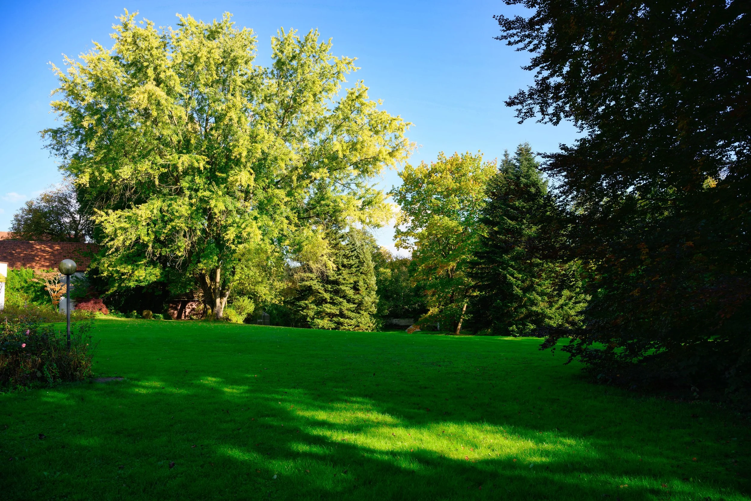 Grundstück mit weiter Perspektive und ruhiger Umgebung