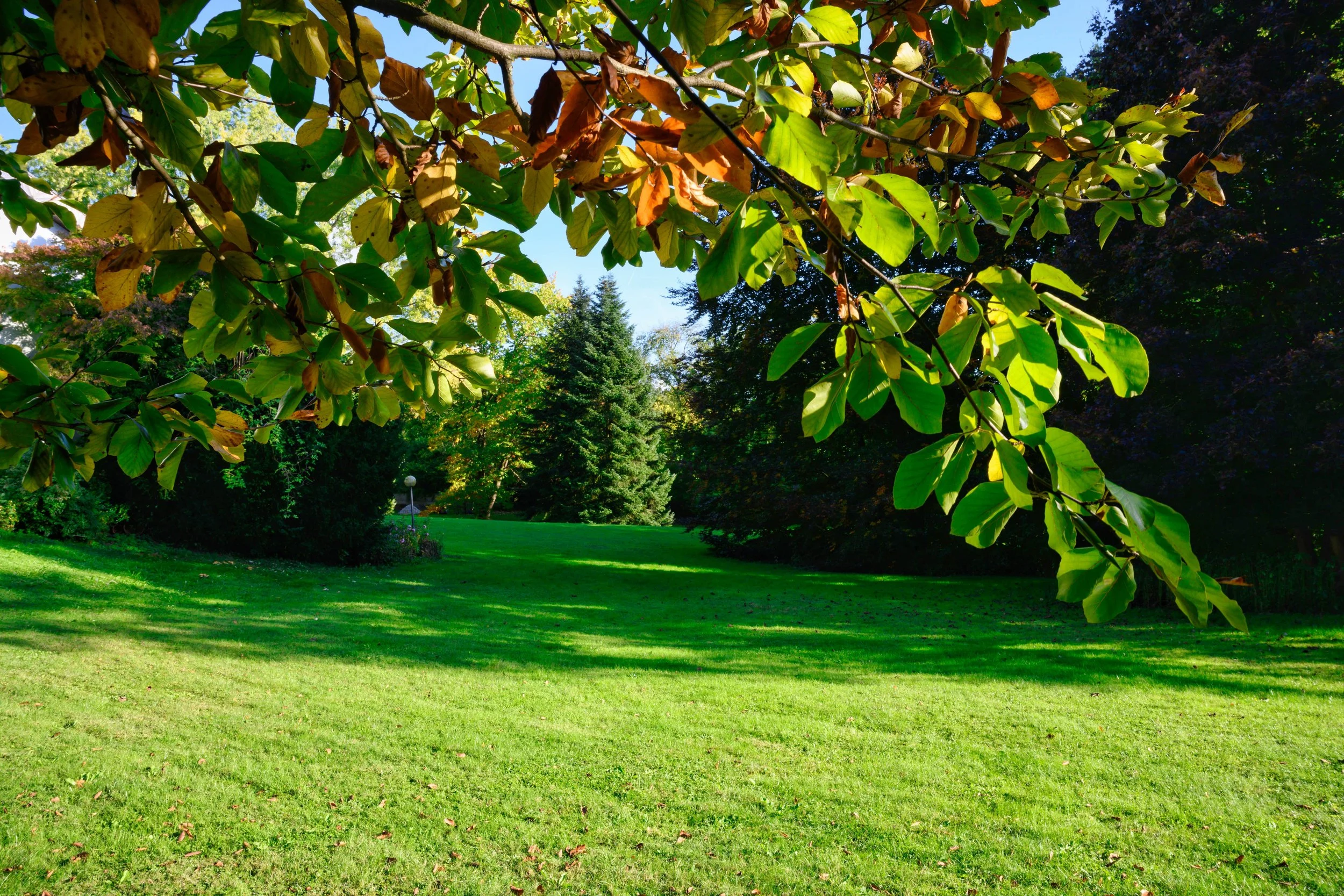 Eindrücke des Grundstücks und seiner Umgebung
