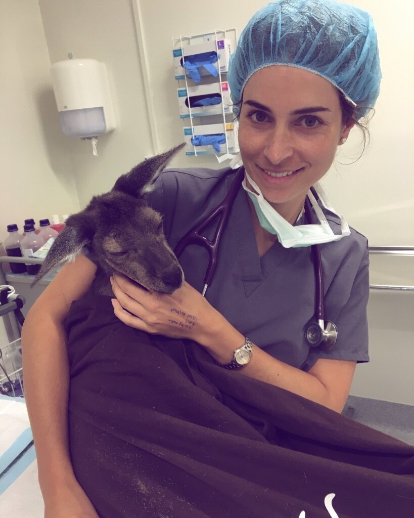 Dr Keely Wilson holding a kangaroo joey
