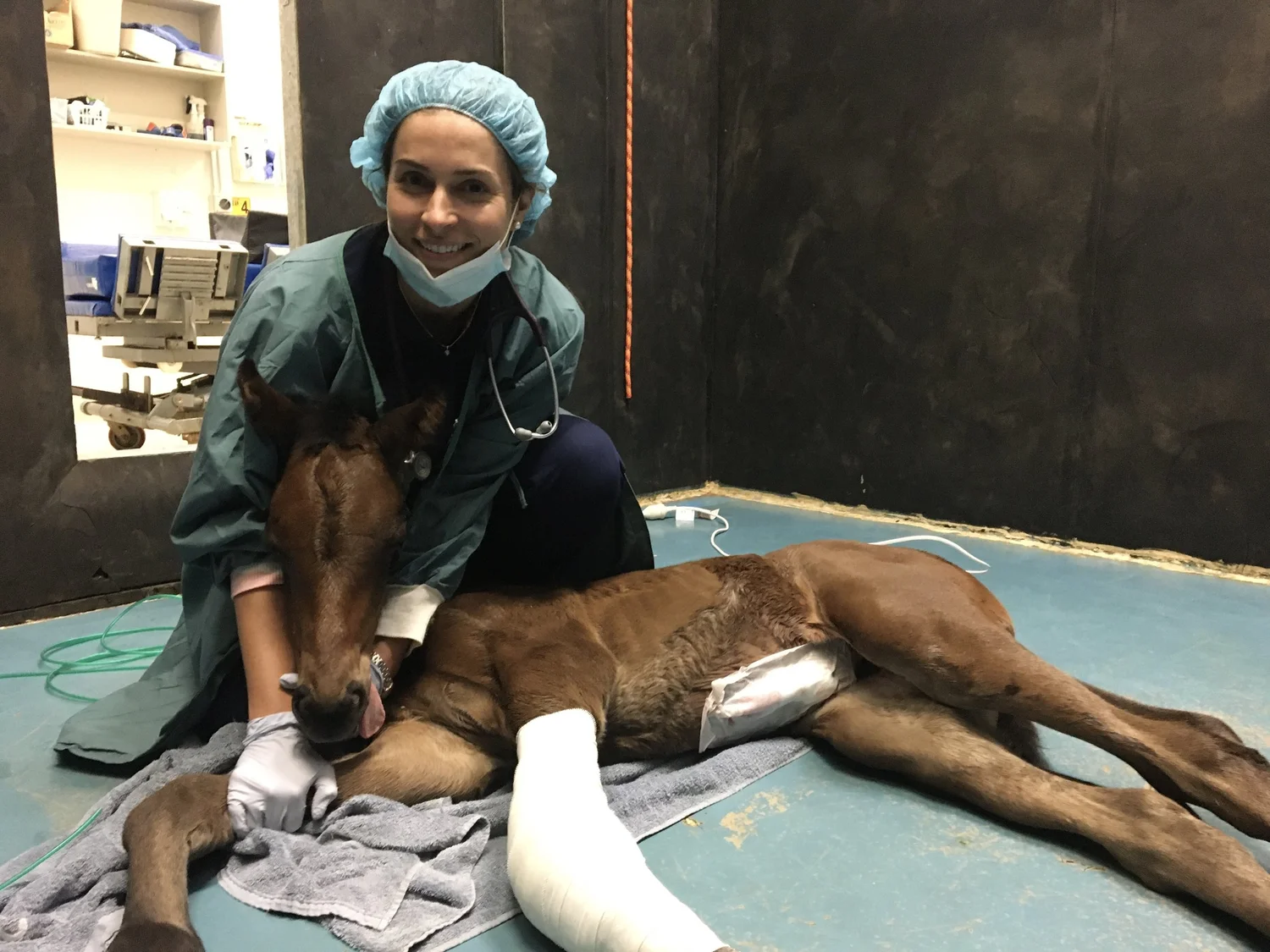 Dr Keely Wilson with a foal recovering after anaesthesia