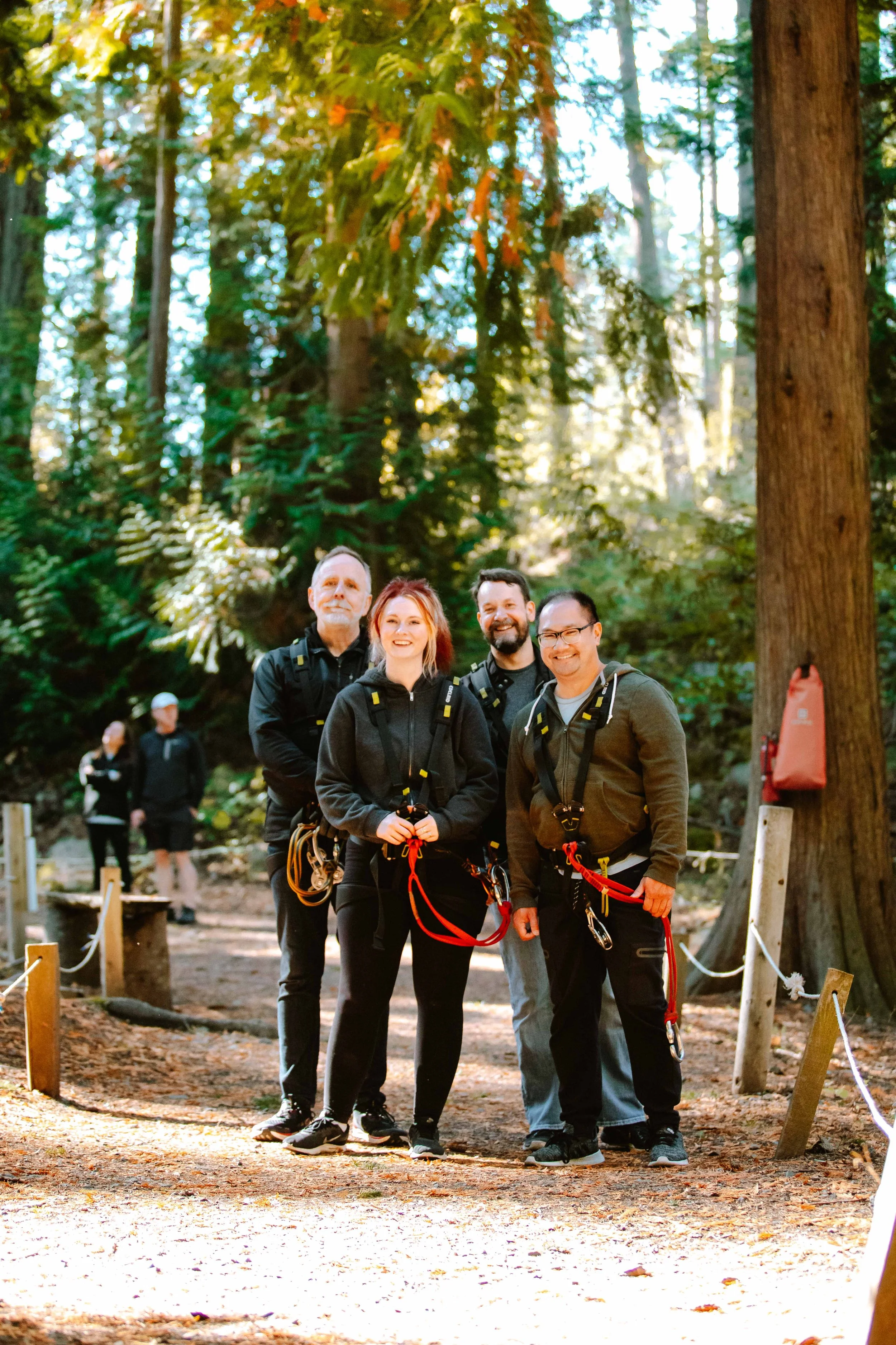 A team together in the forest before their facilitated session