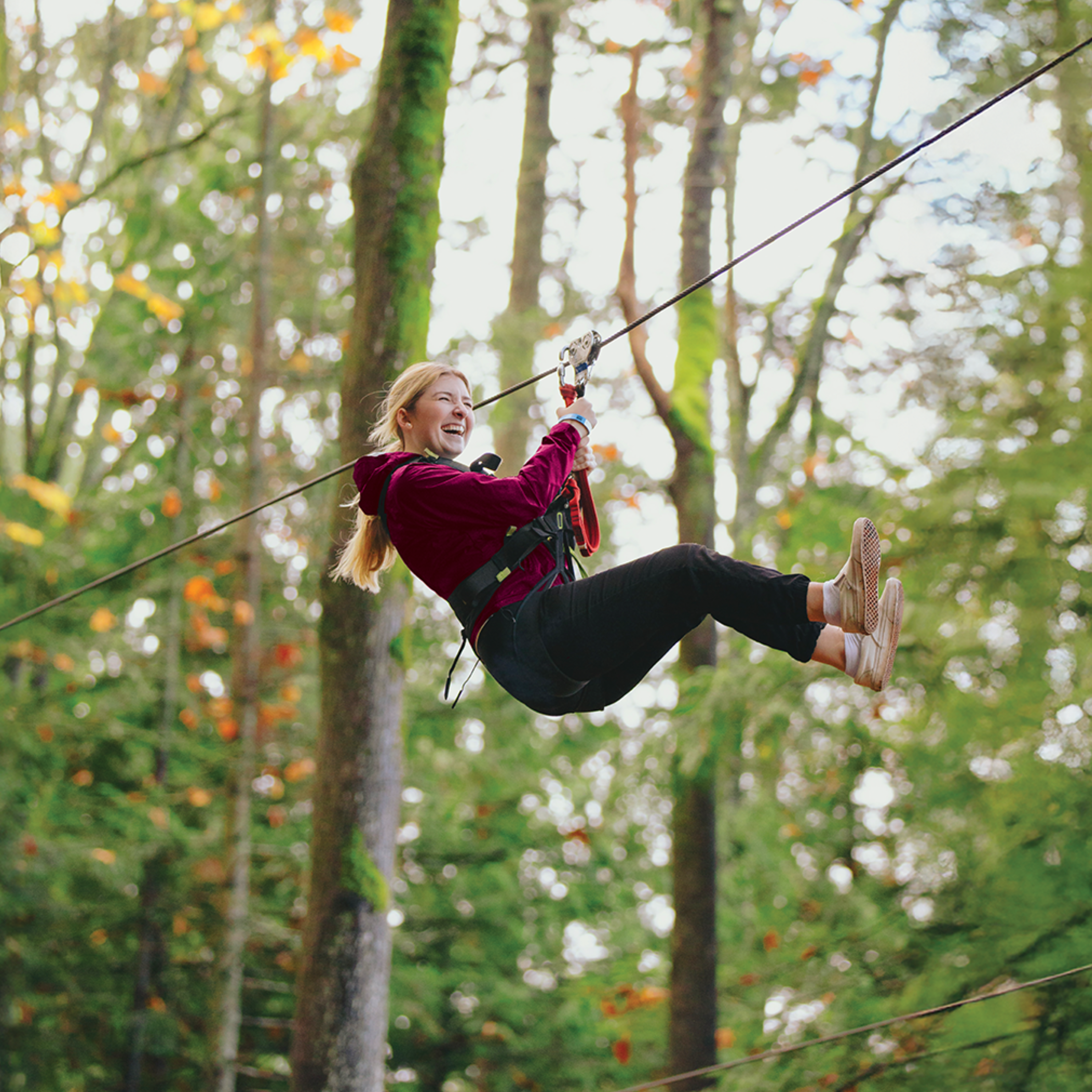 A guest riding a zipline on the Classic Adventure Course