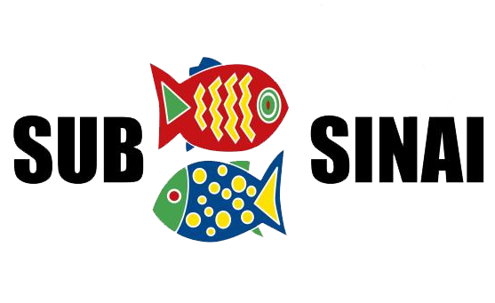 Subsinai