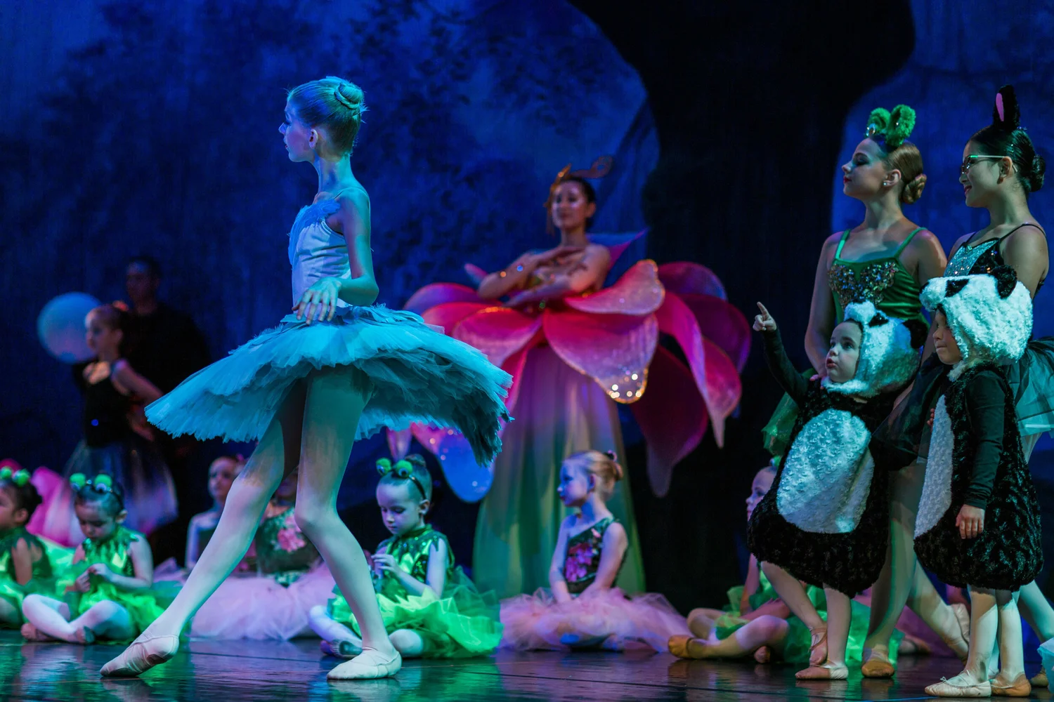 Classical Ballet School logo