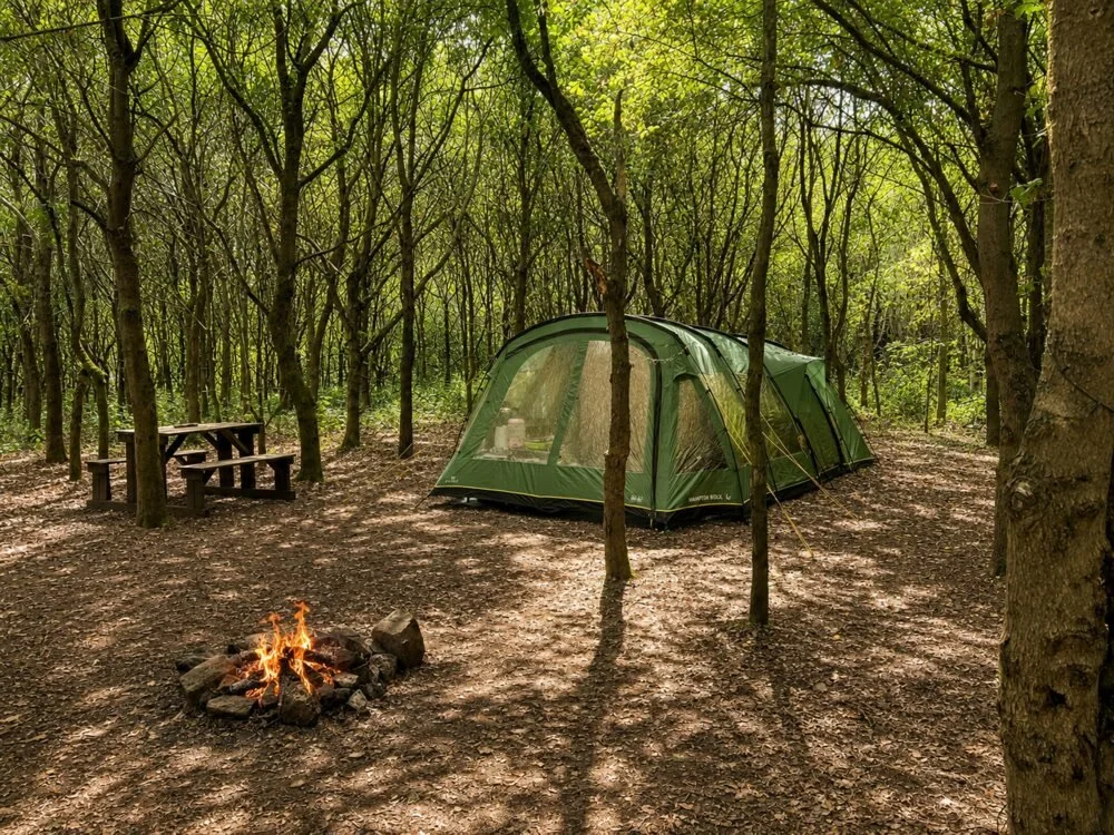 Woodland Camp pitch with tent and contained firepit amongst broadleaf trees
