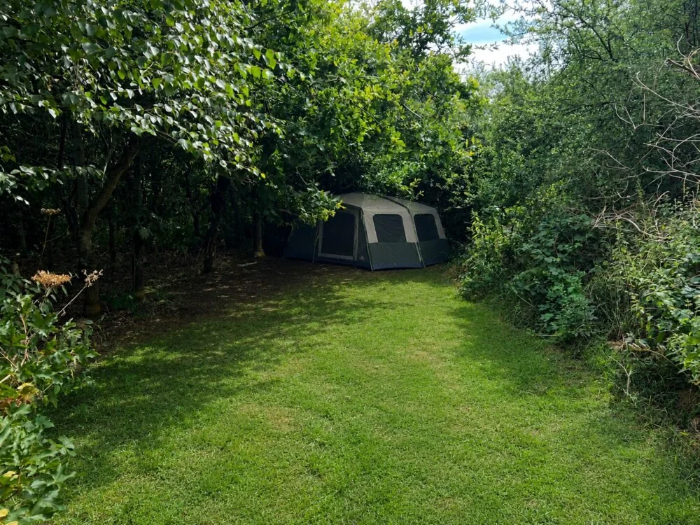 The Nook tent beneath a leafy tunnel opening onto a sunny grass clearing