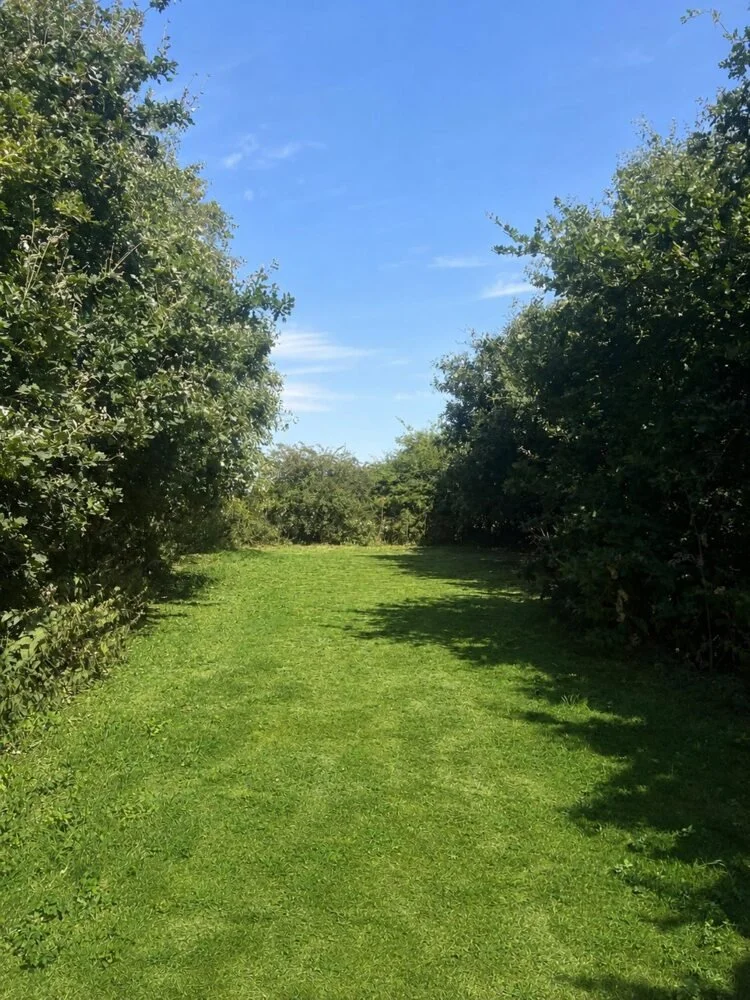 The Outpost grass clearing enclosed by woodland beneath a blue sky