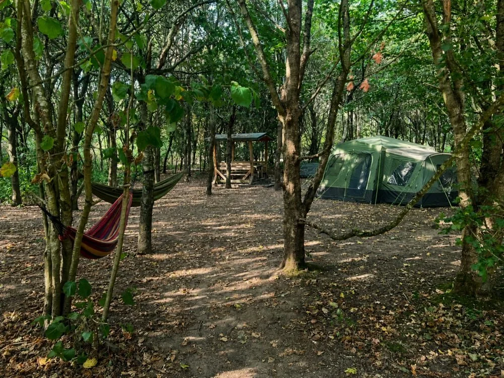 Family Woodland Camp with a large tent, hammocks and sheltered picnic area amongst trees