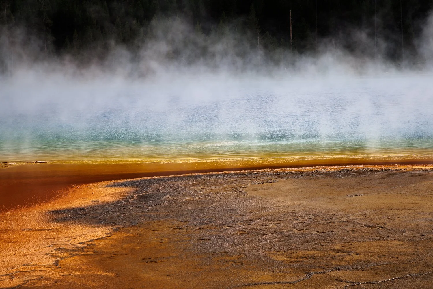 Rising Mist — Allen Morris