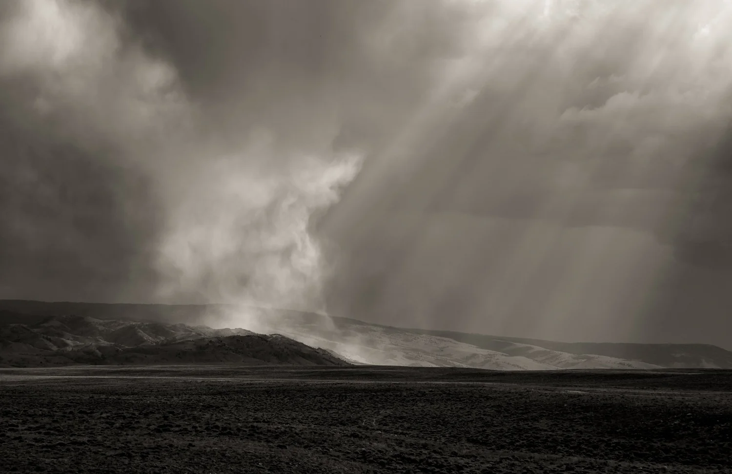 The Calling — Rowene Weems
